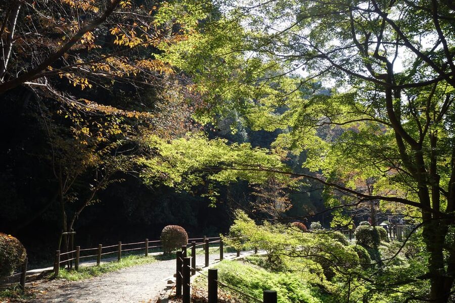 Best of Kyoto: Ginkakuji & Path of Philosophy E-Bike Tour - The Philosopher’s Path, taken at cycling speed
