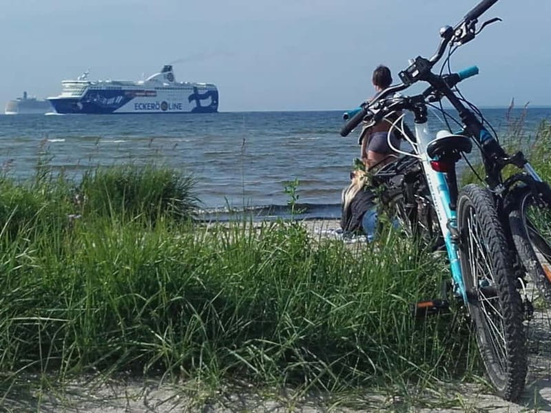 Best of Tallinn 2-Hour Bike Tour - The promenade, Gulf of Finland, and Russalka Memorial