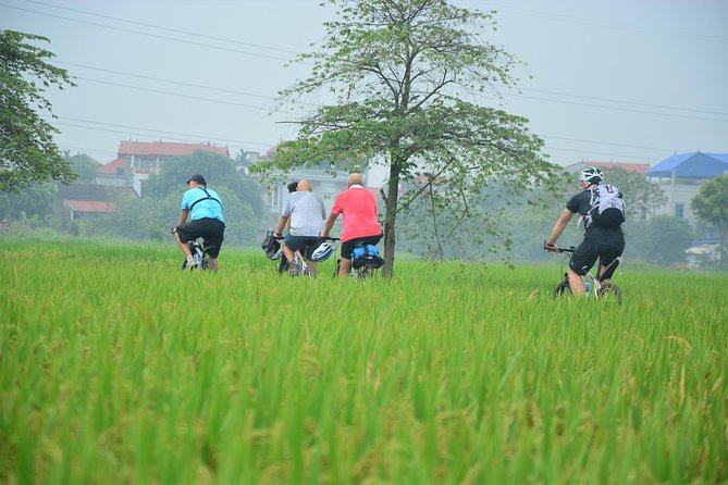 Bicycle Tours Hanoi: Full Day Bicycle Tour Hanoi Countryside - Red River farms and the long middle section