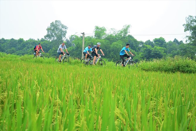 Bicycle Tours Hanoi: Full Day Bicycle Tour Hanoi Countryside - Meeting a bonsai-making family in Lai Da