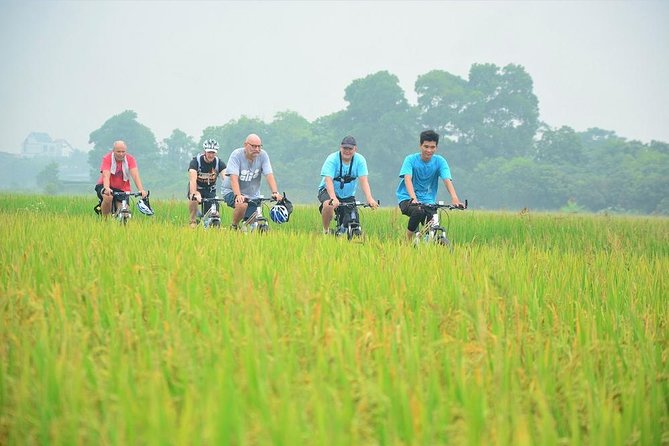 Bicycle Tours Hanoi: Full Day Bicycle Tour Hanoi Countryside - Co Loa Citadel, a wet market, and lotus lake