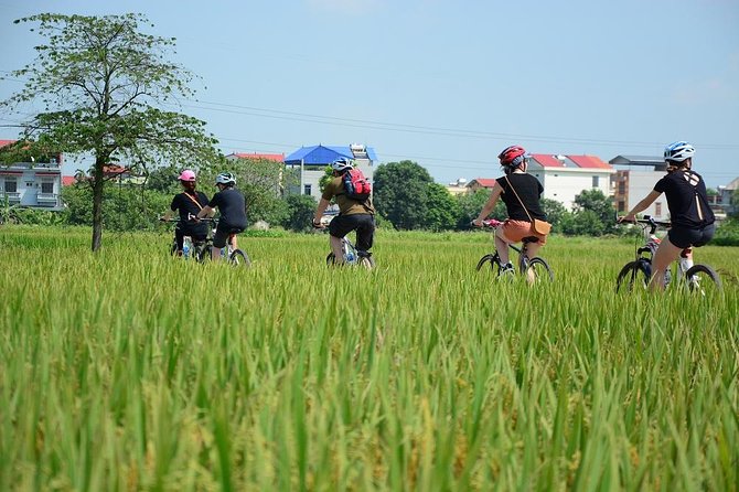 Bicycle Tours Hanoi: Full Day Bicycle Tours City & Countryside - Three hours beside the farms of Dong Anh