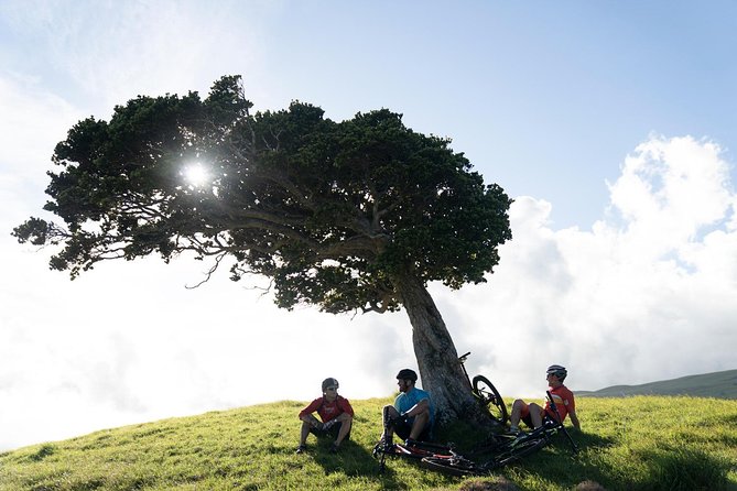 Big Island Mountain Biking on Anna Ranch - Who should book this ride