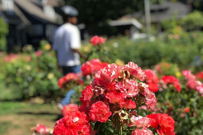 Bike Around Portland Oregon: Art, Culture, Bridges, Poetry - Riverplace and Tom McCall Waterfront Park