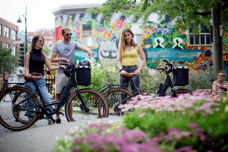 Bike/E-bike tour Plateau,MileEnd, Jean-Talon Market by Fitz - The Plateau, where murals meet green lanes