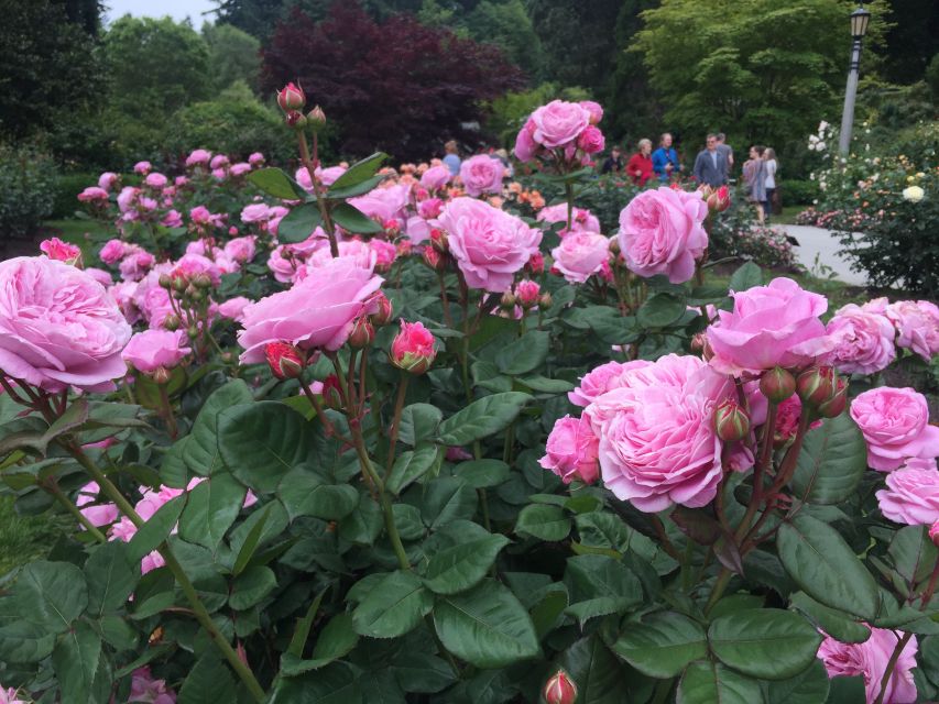 Bike Portland: Bridges, Neighborhoods, Poetry, and Roses - Ladd’s Addition starts the neighborhood story