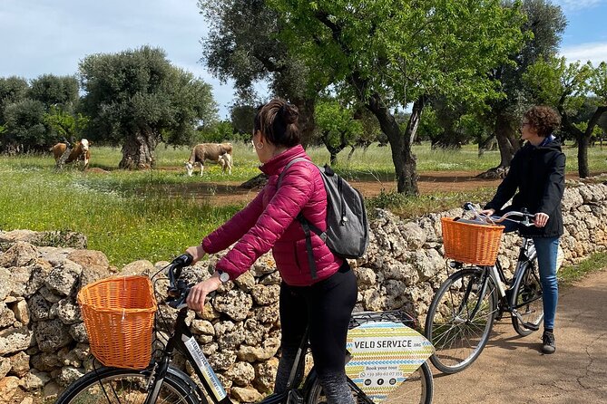 Bike Rental in Bari - A useful Bari ride: old lanes, San Francesco, and Pane e Pomodoro