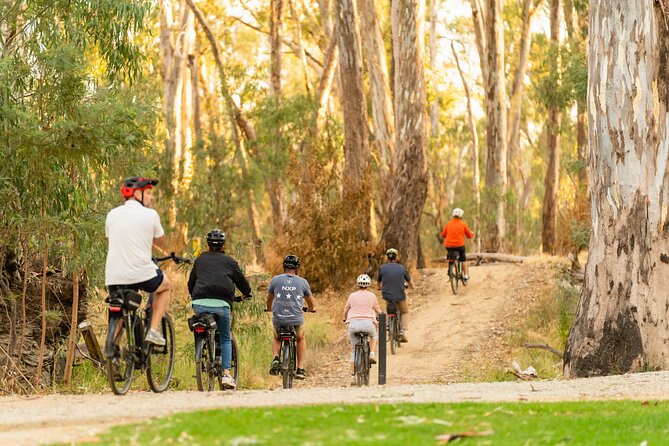 Bike to Winery Tour - Along the Murray River toward Moama