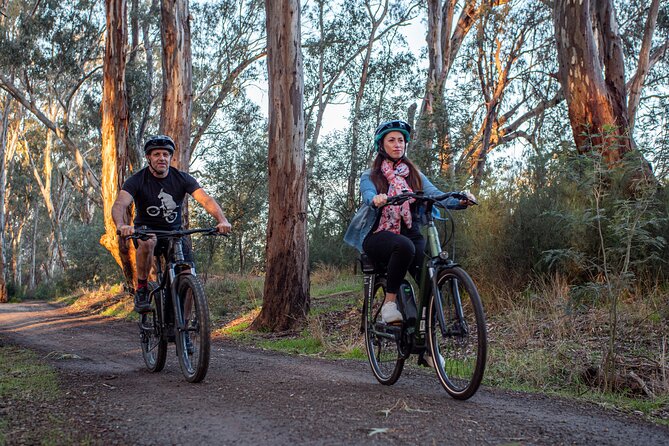 Bike to Winery Tour - The guide and the small-group advantage