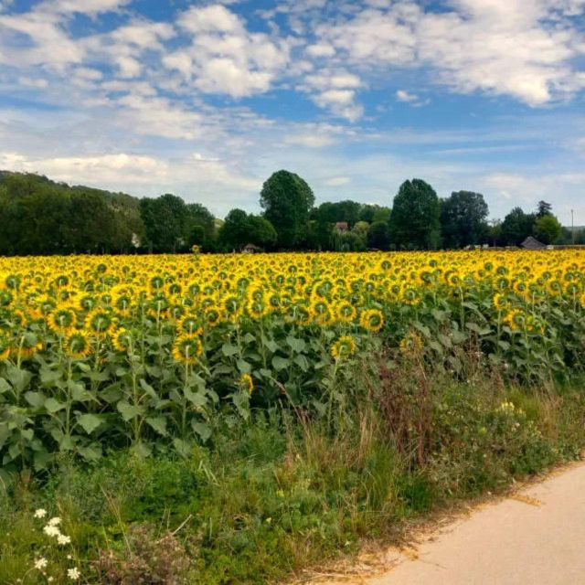 Bike tour from Vernon to Giverny with local guide - Who will enjoy this ride most?