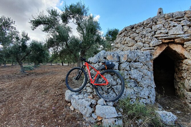 Bike Tour in the Alta Murgia National Park (Pulo of Altamura) - What to bring and how to prepare