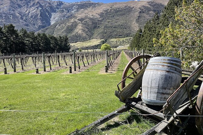Bike & Wine Tour: Arrowtown to Valley of the Vines - Starting at 43 Camp Street in Queenstown