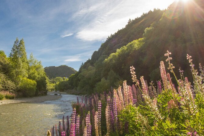 Bike & Wine Tour: Arrowtown to Valley of the Vines - What to bring and how to pace the day