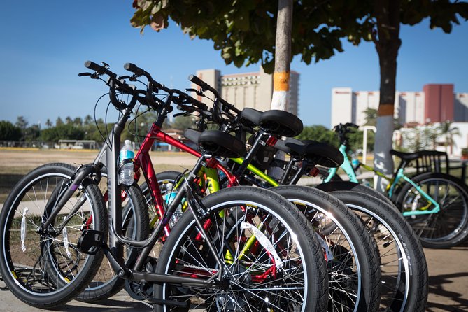 Bikes and Bites: Taco Bicycle Tour in Puerto Vallarta - Group size, pace, and the right kind of rider