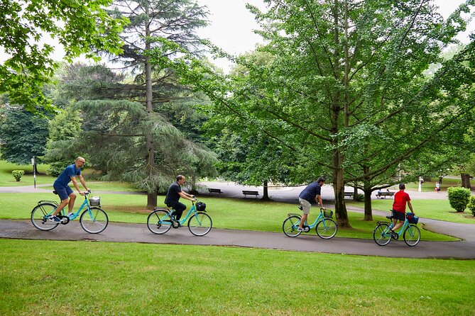 Bilbao Highlights 3-hour E-Bike tour: Small Group or Private Tour - Euskalduna Palace and Bilbao’s industrial past