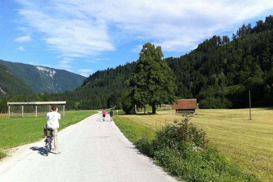 Bled: Mountain Bike Rental - Key points at a glance