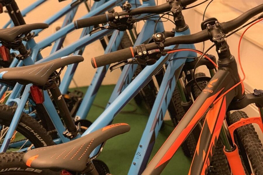Bled: Mountain Bike Rental - Planning your day around Lake Bled