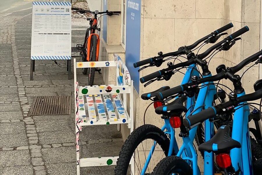 Bled: Mountain Bike Rental - Who should book this bike rental?