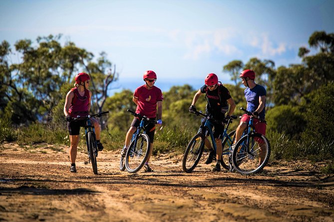 Blue Labyrinth PRIVATE Tour: Sydney Blue Mountains by E-Bike - Glenbrook makes the Blue Mountains easy to reach