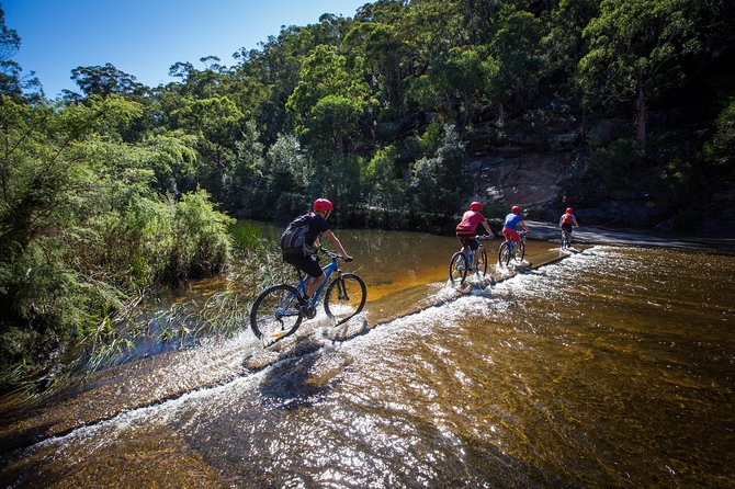 Blue Labyrinth PRIVATE Tour: Sydney Blue Mountains by E-Bike - Electric bikes help, but this is still active sightseeing