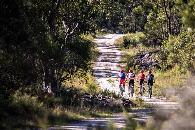 Blue Labyrinth PRIVATE Tour: Sydney Blue Mountains by E-Bike - How it compares with a standard Blue Mountains day