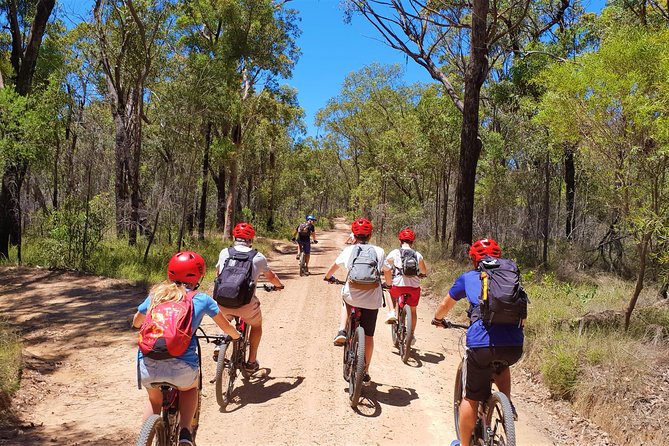 Blue Labyrinth PRIVATE Tour: Sydney Blue Mountains by E-Bike - What the four-hour ride feels like