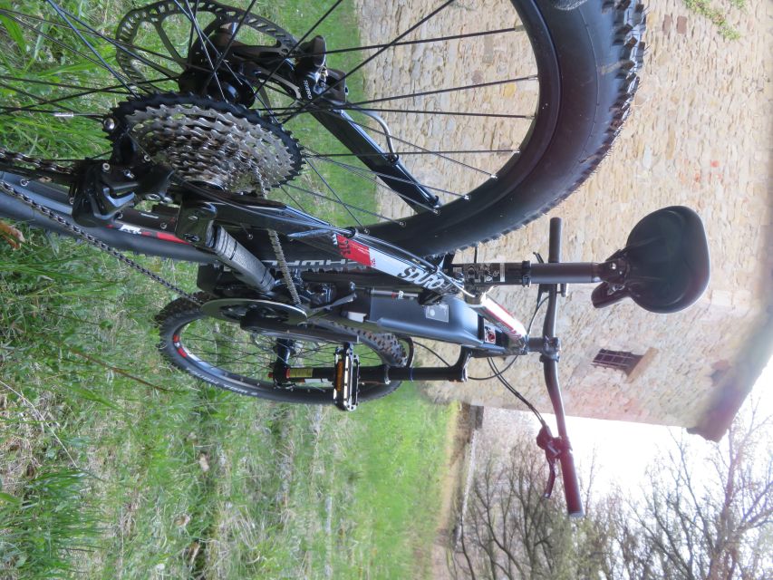 Bologna: E-Bike Guided Tour with Aperitivo - San Luca and the ride’s hardest section