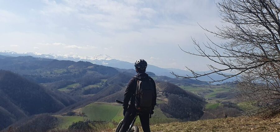 Bologna: E-Bike Guided Tour with Aperitivo - Is $152.93 a fair price?