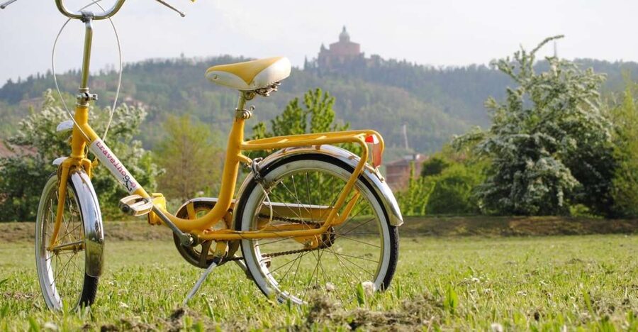 Bologna: Panoramic Bike Tour - Piazza Maggiore and Bologna’s best-known sights