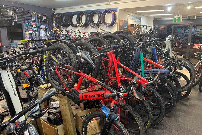 Brisbane Electric Mountain Bike Experience Tour - Who will enjoy this Brisbane bike tour?