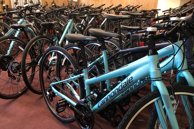 Brooklyn Neighborhoods Small-Group Bike Tour - Brownstones, courthouses, and old Brooklyn