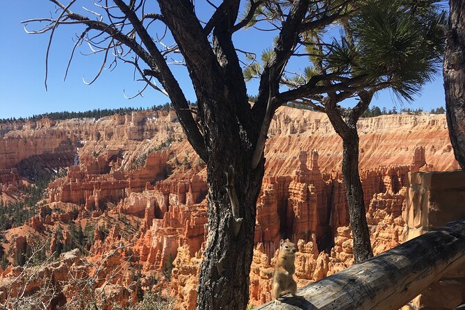 Bryce Canyon E-bike Tour - Fairyland and Bryce amphitheater viewpoints