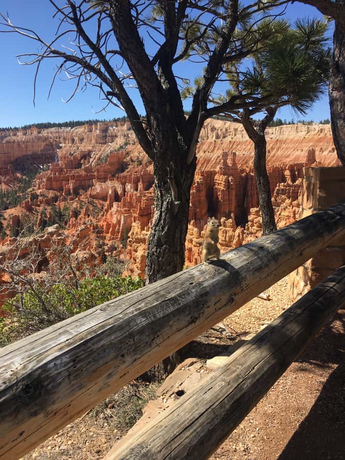 Bryce Canyon National Park: Guided E-Bike Tour - Inspiration Point and the value of stopping
