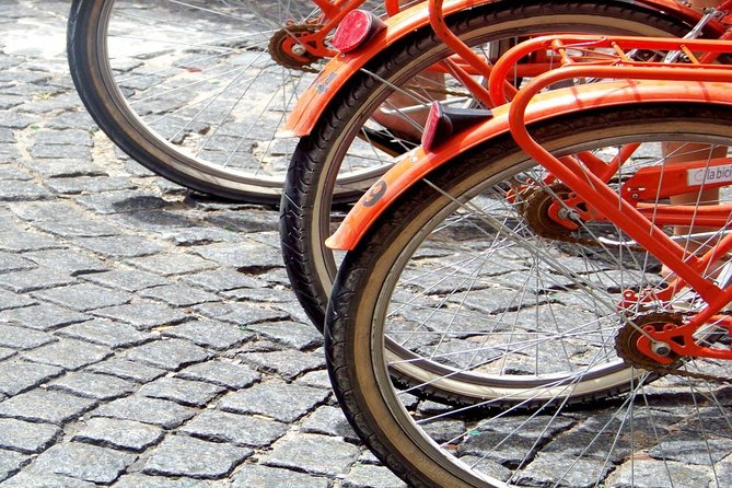 Buenos Aires Bike Tour: San Telmo and La Boca Districts - Who will get the most from this $45 tour?