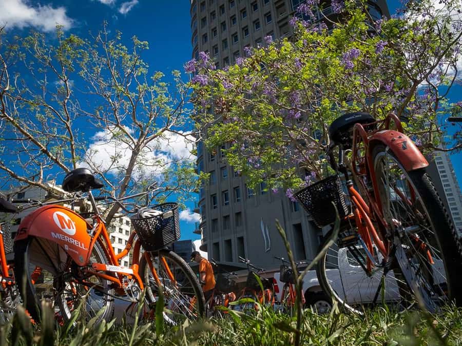 Buenos Aires Bike Tour: South or North Circuit - What the three-hour ride is really like