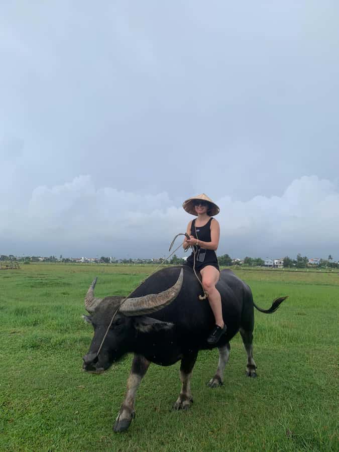 BUFFALO RIDING -BASKET BOAT & BIKE TOUR-HOI AN - Guides, group size, and the feel of the day