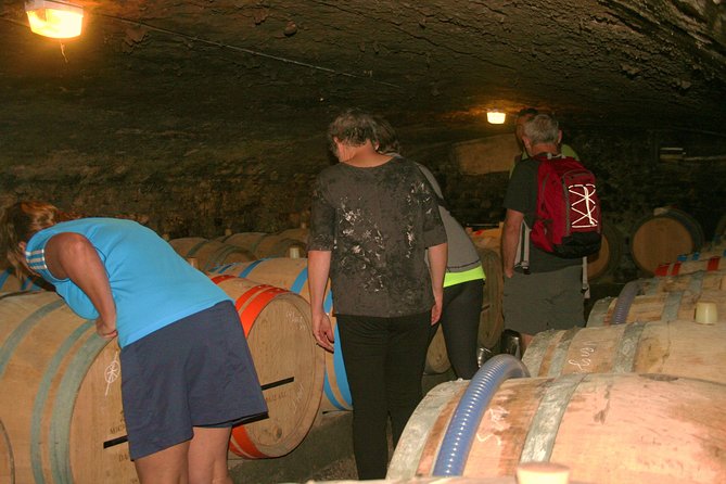 Burgundy Bike Tour with Wine Tasting from Beaune - Why a bike is the right way to see Burgundy