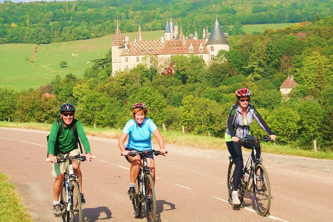 Burgundy Bike Tour with Wine Tasting from Beaune - What the guides add to the day