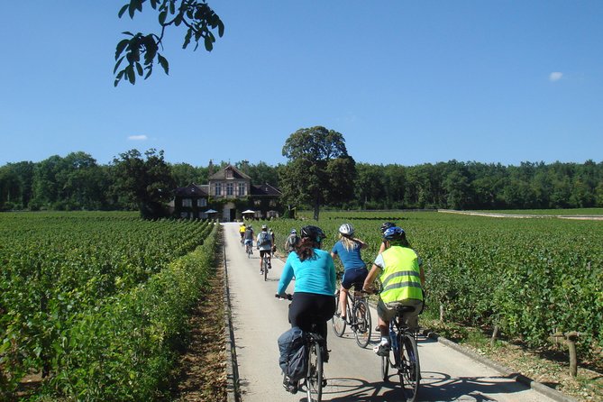 Burgundy Bike Tour with Wine Tasting from Beaune - Weather, clothing, and physical demands