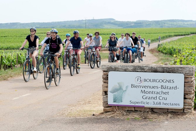 Burgundy Bike Tour with Wine Tasting from Beaune - Is the $253.95 price fair?