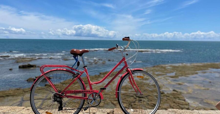 Cadiz: City Bike Tour - Who should book this Cádiz bike tour?