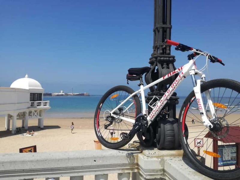 Cádiz: Guided Bike Tour - Riding beneath the New Cathedral