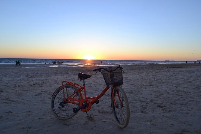 Cadiz Small Group Bike Tour - What the guides add to the ride