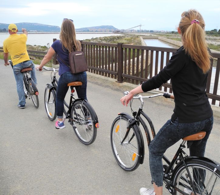 Cagliari: Bike Tour in the Flamingo Oasis - Who should book this Cagliari bike tour?