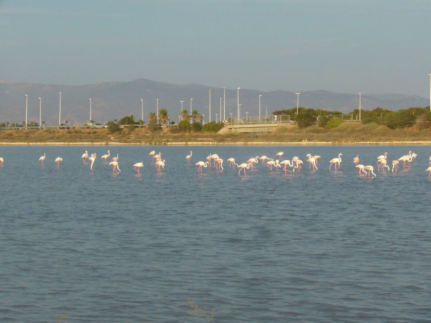 Cagliari: Bike Tour in the Flamingo Oasis - Bonaria’s staircase and a powerful city view