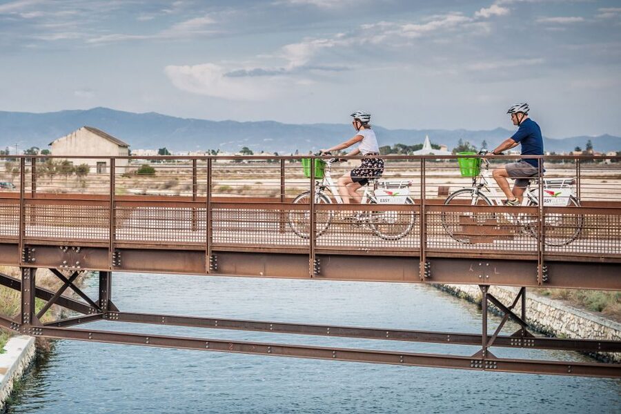 Cagliari E-Bike Tour: Canals & Flamingos at Molentargius - Why this Cagliari bike ride works so well