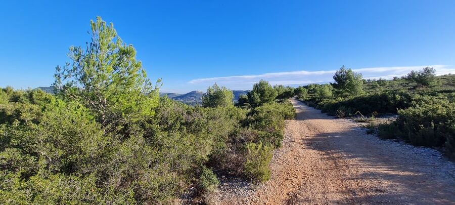 Calanques National Park: E-Mountain Bike with Virtual Guide - Cap Canaille and the big coastal views