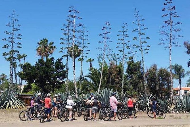 Cali Dreaming Electric Bike Tour of La Jolla and Pacific Beach - Starting at the Crosby Center