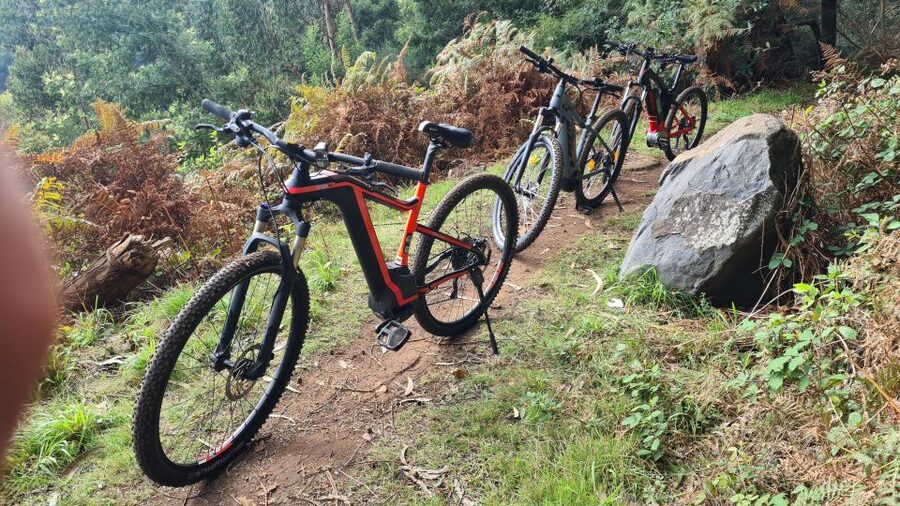 Camacha: Levada Trail e-Bike Guided Tour - Riding through eucalyptus and laurel forest