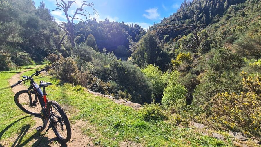 Camacha: Levada Trail e-Bike Guided Tour - Who should book this ride